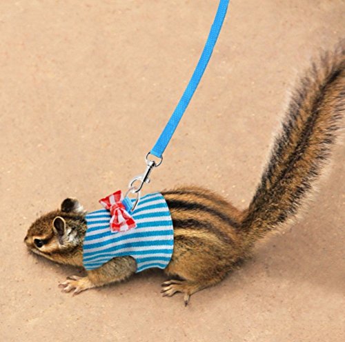 Stock Show Small Pet Outdoor Walking Harness Vest and Leash Set with Cute Bowknot Decor Chest Strap Harness for Rat Ferret Hamster Squirrel Clothes Accessory, Blue Stripe