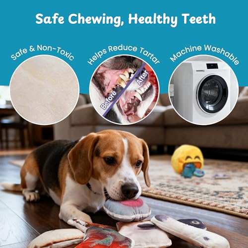 Nocciola Plush Squeaky Dog Toys – 12 Pack Small Dog Chew Toys with Squeakers, Soft Stuffed Puppy Toys with Carry Bag for Small & Medium Dogs - style: 12pcs Funny Toys