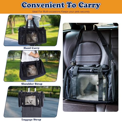 Soft-Sided Cat/Dog Carrier, Car Travel Pet Carrier Up to 16LB with Backpack Straps & Removable Washable Pad, Collapsible Mesh Puppy Carry Bag for Small Animals, Black - color: Black