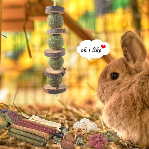 ERKOON 42PCS Rabbit Chew Toys, Natural Timothy Grass Cakes Guinea Pig Toys, Small Animal Teeth Grinding Treats for Bunny Hamster Chinchilla, Safe Dental Care Snacks - size: 42