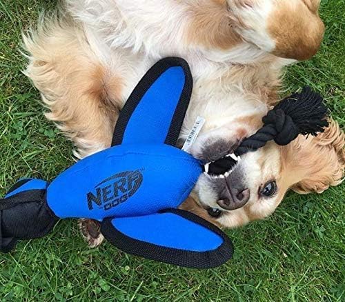 Nerf Dog Large Nylon Launching Duck with Interactive Design, Blue (3473), for All Breed Sizes - color: Blue