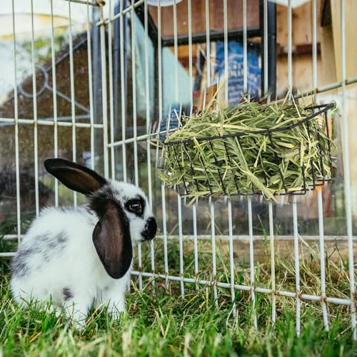 Rabbit Hay Feeder Bag Small Animal Hanging Feeding Sacks4Pcs | Oxford Fabric Dispenser Bags For Guinea Pig Chinchilla, Double Metal Hooks Cage Accessory, Wear Resistant Storage