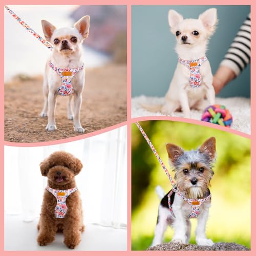 Lukovee Puppy Harness and Leash Set, No Pull, Lightweight Step in Vest | Adjustable, Soft Suede Vest, Easy Put on and off Pet Harness with Snap Buckle & 51in Leash for Small Medium Dogs (Flower, XS) - color: Flower, size: X-Small ( 5.5-11lb )