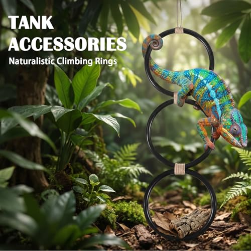 Snake Climbing Rings for Ball Python, Enrichment Toys for Corn Snake, Reptile Enrichment Climbing Ring, Reptile Tank Accessories for Terrarium, Bearded Dragon, Chameleon, Iguana, Gecko, Lizard, Parrot