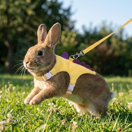 Ferret Harness and Leash Set Dinosaur Shaped Stuffed Animal Harness Adjustable Vest with Safe Bell for Baby Rabbit Guinea Pig Rat Hedgehog and Other Small Animals Yellow