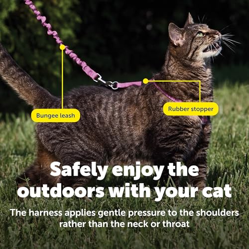 PetSafe Come with Me Kitty Harness and Bungee Cat Leash, Dusty Rose, Medium | Adjustable 2-Point Fit Applies Gentle Pressure to Shoulders, Not Neck, for Small & Average Cats with 10.5 in - 14 in Girth - color: Dusty Rose, size: Medium (Pack of 1)