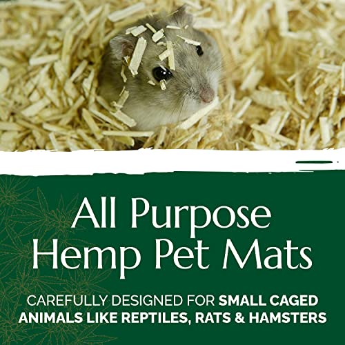 The Chanvra Hemp All Purpose Pet Mat Sleeping,Nesting,Reptile Carpet RatHamster CageBearded Dragon Tank Accessories Lizard Snake Terrarium Liner Small Animal Hemp Bedding Sold Separate - size: Small
