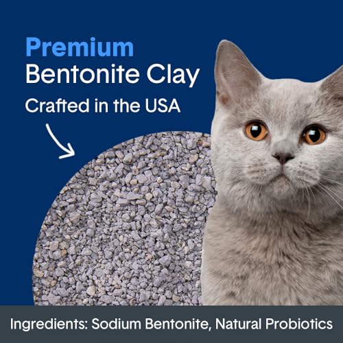 Boxie® Probiotic 40 Day Natural Odor Control Cat Litter, 16lb Clumping Clay Kitty Litter (Pack of 2) - size: 16 Lb (Pack of 2)