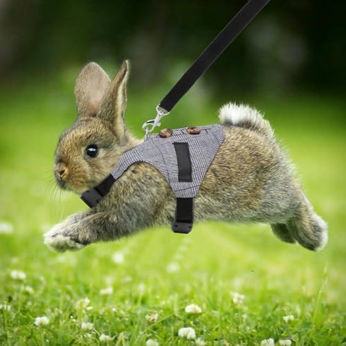 Rabbit Vest Harness and Leash Set Adjustable Formal Suit Style for Bunny Kitten Small Animal Walking (S) - size: S