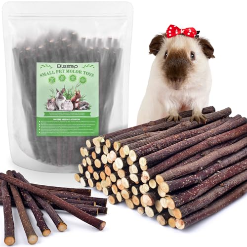 Bissap Apple Sticks for Rabbits, Natural Bunny Chew Toys and Treats for Chinchilla Guinea Pig Hamster Gerbil Small Animals Pet Apple Wood Stick Toys Teeth Grinding (460g/1lb) - size: 16.2 Ounce (Pack of 1)