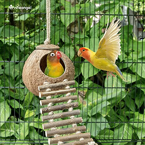 Niteangel Natural Coconut Hideaway with Ladder, Bird and Small Animal Toy (House with Ladder, Natural Surface) - color: Natural Surface