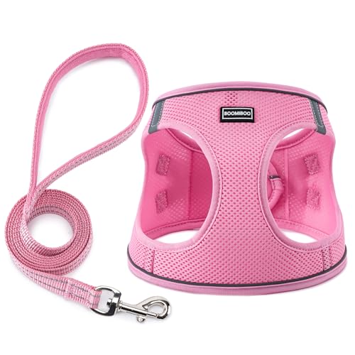 BOOMIBOO Dog Harness with Leash Set, No Pull Adjustable Reflective Step-in Puppy Pet Vest Harnesses for Small Medium Large Dogs and Cats,Pink XXS | Lightweight Breathable Air Mesh, Night Safety Reflective - color: Pink, size: XXS(Chest:10"-12")
