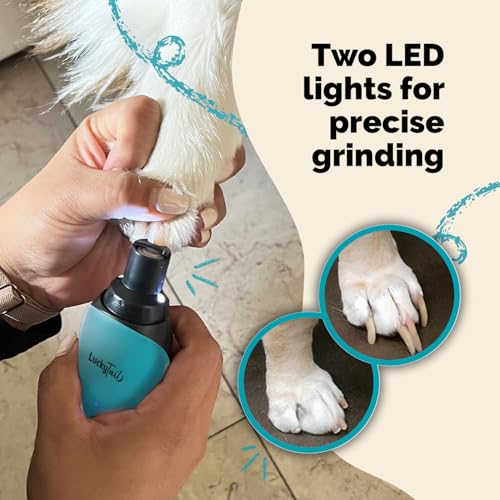 Pet Nail Grinder for Dogs and Cats - Super Quiet and Low Vibration Electric Dog Nail Grinder with 2 LED Lights - USB Rechargeable and Cordless - 2 Speeds - Small to Large Pets - Teal - color: Teal