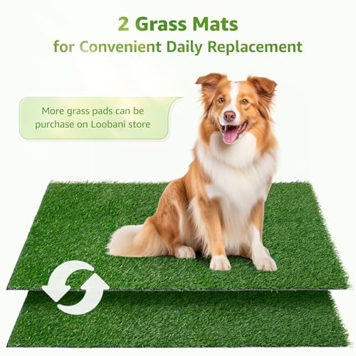 LOOBANI Dog Grass Pad with Tray - 41x26.8in for Potty Training | 2 Replacement Fake Grass Pads, Easy to Clean, Dog Litter Box, Balcony/Apartment/Indoor/Outdoor Use - size: Tray Potty 41*26.8inch