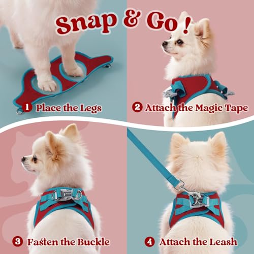 rabbitgoo Dog Harness Small Sized and Leash Set, Step in Soft Vest | Breathable Mesh, Easy Wear with Hook & Loop, Light and Reflective for Walking, Multi-colored, Red & Teal, XXS - color: Red & Teal, size: XXS (Chest: 12.4"-14.2")