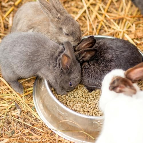 Organic Bedding Straw for Pets, Garden, Compost Use, 10lb | Soft Absorbent Bedding, Pet Habitats, Nesting Use, Garden Mulch, Composting Support, USDA Organic, Non-Gmo, Chemical Free - size: 10lb