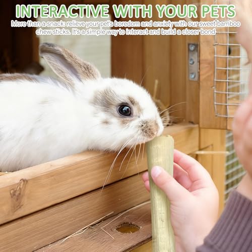 Tfwadmx Small Animal Snacks Sweet Bamboo Molar Treats 200 g Bunny Chew Toys for Chinchilla Rabbit Guinea Pig Hamster Squirrel (About 22-27 Sticks) - size: 0.26 Ounce (Pack of 27)