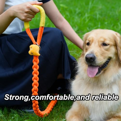 4FT Heavy Duty Braided Rope Dog Leash, Soft Cotton Design with Locking Clip for Medium & Large Dogs – Ideal for Walking & Training (Dinosaurs) - color: Dinosaurs