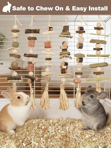 6PCS Hanging Bunny Chew Toys, Natural Apple Wood Rabbit Chews | Teeth Grinding & Dental Health, Small Animal Wooden Cage Toy for Guinea Pigs, Hamsters, Chinchillas, Ferrets, Rats, Gerbils