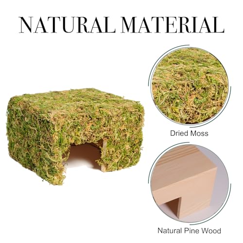 Hamster Hideout - Large, Natural Moss, Handcrafted for Syrian Hamsters, Rats & Guinea Pigs, Hermit Crab,Hedgehogs,Lizards & Other Reptiles（Square, Large） - size: Square, Large