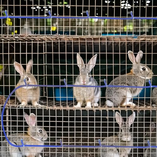 OCQOTAT Automatic Rabbit Watering System,Quail Rabbit Water Bottle Dispenser 8 Nipples Drinker,ID 5/16" Hose 19.68 Feets,Barb Fittings to G1/2" Thread,T-Fittings,Springs,Gaskets,Bucket Connector - color: Blue Rabbit Watering System Set