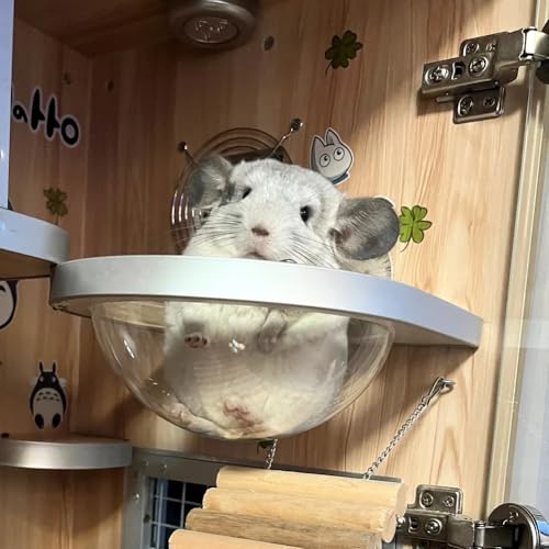 La La Pet®Chinchilla Wooden Capsule for Cage Shelve Transparent Hemispheric Hammock for Hamsters Squirrels Sugar Gliders Cage Accessories for Small Sized Pets White Birch