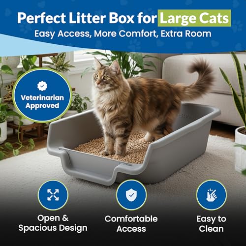 KittyGoHere Senior Cat Litter Box, Jumbo Litter pan, Open Top Low Entrance Kitty Litter Box, Lightweight Low Entry Litters Box, Durable, Made in USA (2 Pack - Misty Gray) - color: Misty Gray, size: Jumbo(2 Pack)