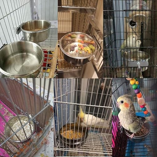 PINVNBY Bird Feeding Dish Cups,5.5x2.0 Inches Parrot Stainless Steel Food Water Dish Perch Stand Platform Paw Grinding Toy Feeder Cage Bowl with Clamp Holder for Budgies Parakeet Macaw(5 Pack L) - size: 【L:5.5x2.0 Inches】