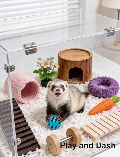 10-Pack Ferret Ball Toys Ferrets, PP Material | Interactive Play, Solo Play, Non-Toxic, Built-In Bell, 1.5 in - 2.2 in - size: 1.5'' - 2.2''