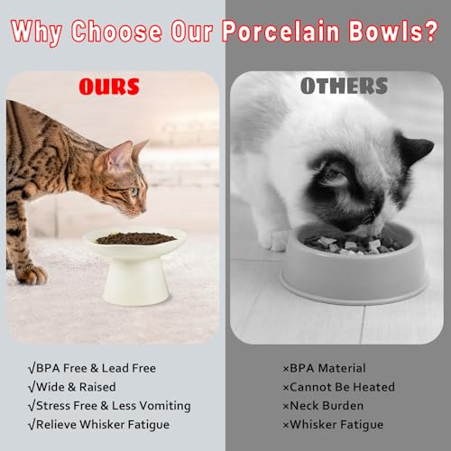 Extra Wide 6.1" Raised Cat Food Bowl, Shallow Ceramic Elevated Cat Feeder, Anti Vomiting, Stress Free, Whisker Fatigue, Pet Food or Water Bowl, White - color: White-Shallow