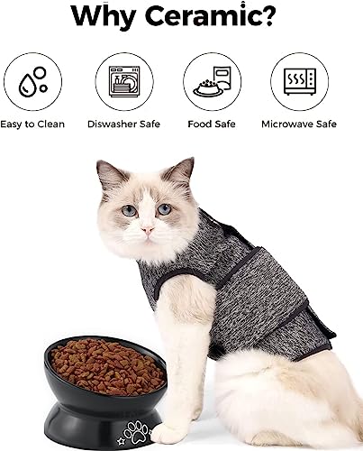 LoeJan Elevated Cat Food Bowl, 5 Oz Ceramic Raised and Tilted Water Bowl, Anti Vomiting and Protect Pets' Spines Dishes for Small Dog, Fat Faced Cat, Kitten (Black Pattern, 1 Pack) - color: Black Pattern