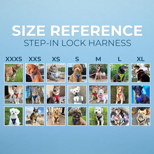 Voyager Step-in Lock Dog Harness - Baby Blue/Black Trim, X-Small | 13 - 16" in Chest, Adjustable, Breathable Air Mesh, Lightweight for Daily Walks, Strong Clips, Heavy Duty D-Ring - color: Harness (Baby Blue/Black Trim), size: XS (Chest: 13 - 16")
