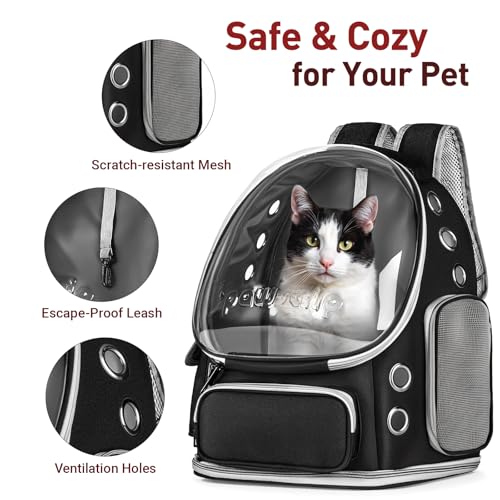 Cat Backpack Carrier Clear Bubble Window for Cats & Small Dogs up to 15 lb | Large Space Breathable Foldable Pet Carrier Airline Approved, Mesh Entry Safety Tether Washable Pad, Travel Hiking Outdoor - color: Black