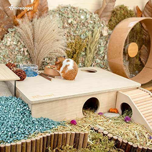 Niteangel Multi-Chamber Hamster House Maze: 2 Entrance 6 Rooms Maze Habitat | No-Disturb Removable Lid - Encourage Pets Hide and Explore Freely Hideout & Tunnel Maze Toys for Hamster Gerbils Mice Lemming - size: 6-Room Large