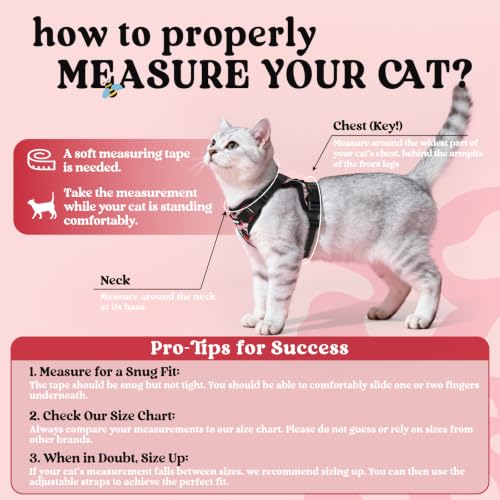rabbitgoo Cat Harness and Leash Set, Escape Proof Vest, Berry Pounce | Soft Breathable Mesh, Easy Adjustable Fit, Snap Buckles, Sturdy Clip, Reflective Strips, for Kittens & Small Cats Walks, Xxs - color: Berry Pounce, size: Xxs