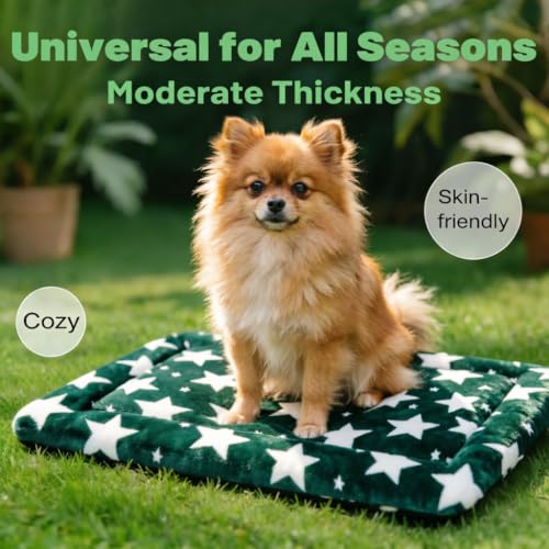 Dog Bed Mat, Reversible Crate Pad & Cute Dog Bed - Machine Washable Kennel Mat with Ultra Soft (Big&Small Stars Green, 18" L x 14" W x 1.5" Th) - color: Big&Small Stars Green, size: 18"L x 14"W x 1.5"Th