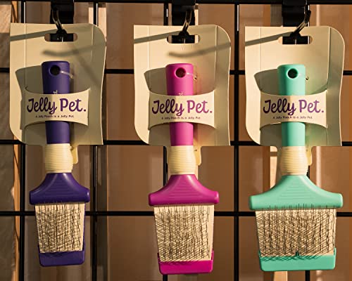 Jelly Pet Double Sided Slicker Brush, Longer Pin, Flexible Head, Fine/Coarse Sides, Removes Unwanted Tangles, Made in USA, Large, Teal