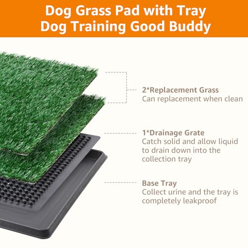LOOBANI Dog Grass Pad with Tray - 16x20in for Apartment Balcony Use | 2 Replacement Fake Grass Pads, Easy to Clean, Litter Box for Puppy & Small Dogs, Indoor/Outdoor Use - size: Tray Potty 16*20inch