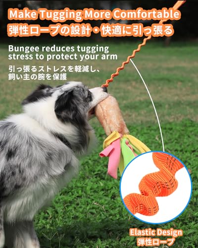 SCHITEC Dog Tug Toy, Bungee Tug of War Rope Toys with Squeaky Sound for Exercise & Interactive Play Games, Puppy Training Pull Toy for Small Medium Large Dogs - style: Artificial Wool+Short Handle