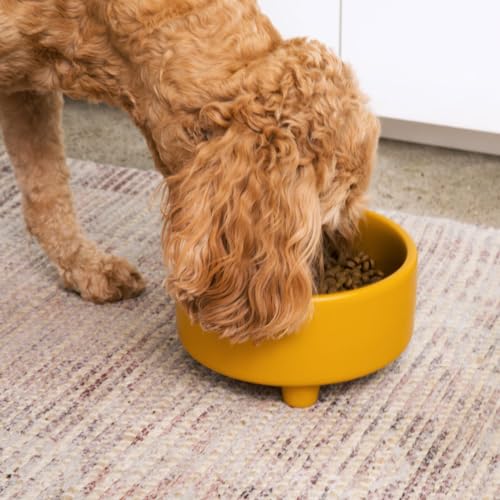 Waggo Uplift Ceramic Dog Bowl for Small Medium and Large Breeds - Heavyweight and Durable Pet Food and Water Dish Crock, Dishwasher Safe, Modern, Elevated Feeder (Mustard, Small) - color: Mustard, size: Small
