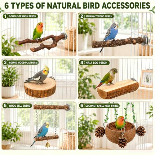 Bird Perch Bird Cage Accessories Parrot Toys Natural Wood 6Pcs Set for Parakeet Cockatiel Conure Lovebird Small Medium Birds