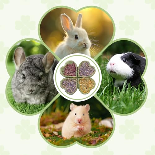 Abizoo Rabbits Chew Toys for Teeth - Natural Herbal Treats with Timothy Hay, Alfalfa, Roses & Calendula for Bunnies, Guinea Pigs, Chinchilla, Hamsters 2Pcs 3.35 inch