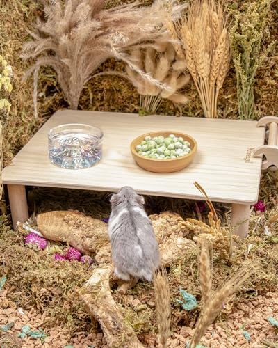 Niteangel Hamster Snack & Treats Toy - Freeze-Dried Pea & No Additive | Delivers Essential Vitamins & Minerals- Small Animal Natural Treat for Dwarf Syrian Hamsters Gerbils Mice Degus or Small Pets