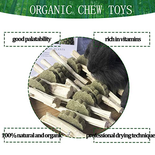 kathson Guinea Pig Treats Hanging Bunny Chew Toys for Teeth Grinding, Organic Bamboo Sticks Natural Rabbit Enrichment Toys for Small Animals Hamster Chinchilla 2 Pack - size: 2 Count (Pack of 1)