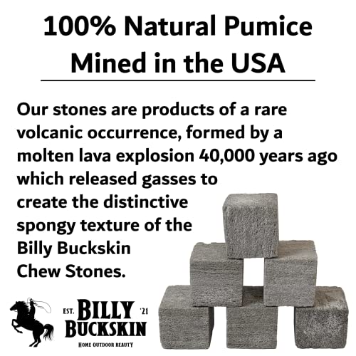 Chinchilla Chew Toys, Pumice Chew Blocks, Lava Block for Hamster, Rat, Mice, Degus, Gerbils, Small Animal Toys, Guinea Pigs, Rabbit Toy, Bunny Toy by Billy Buckskin (Pack of 6)Mined in USA - size: 1 Count (Pack of 6)