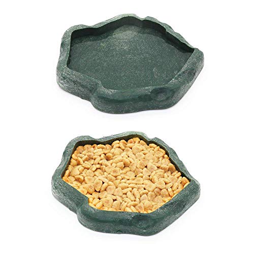 SLSON Small Reptile Feeder Terraium Bowl Plastic Shallow Reptile Feeder for Food and Water Feeding Dish for Lizard Gecko Junior Bearded Dragon,Small Green
