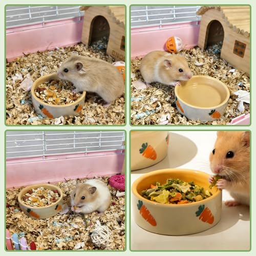 kathson 2 Pcs Hamtser Food Bowl, Guinea Pig Food Bowls, Ceramic Pet Bowl Small Animals Anti-Turning Water Bowls for Bunny Chinchilla Rat Hedgehog (S) - size: S