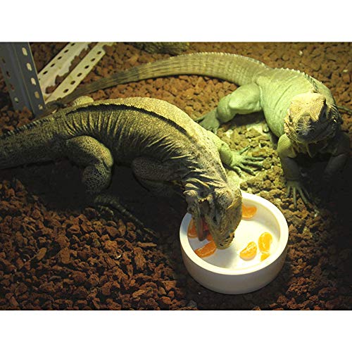 Reptile Food Water Bowl, 2 pcs Ceramic Mealworm Bowl, Large | Anti-Escape, Reptile Water Feeder ,Worm Dish for Lizard Gecko Bearded Dragon - size: Large