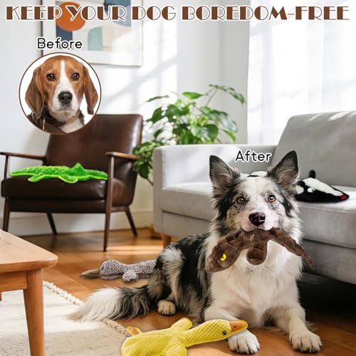No Stuffing Dog Squeak Toys, 5 Pack Chew Toys for Small to Large Puppies | Durable Plush Puppy Teething Toys, Interactive to Keep Pets Busy, Toss Fetch Tug Play, Best Birthday Gift - color: Black, dark brown, green, yellow, coffee
