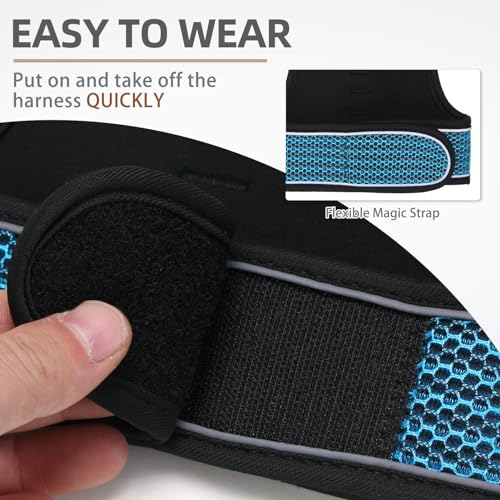 PUPTECK Soft Mesh Cat Vest Harness and Leash Set Puppy Padded Pet Harnesses Escape Proof for Cats Small Dogs (Large, Lake Blue) - color: Lake Blue(Reflective), size: L(NECK 8.5"-10.5", CHEST 12.5"-15", 6-10 lbs)